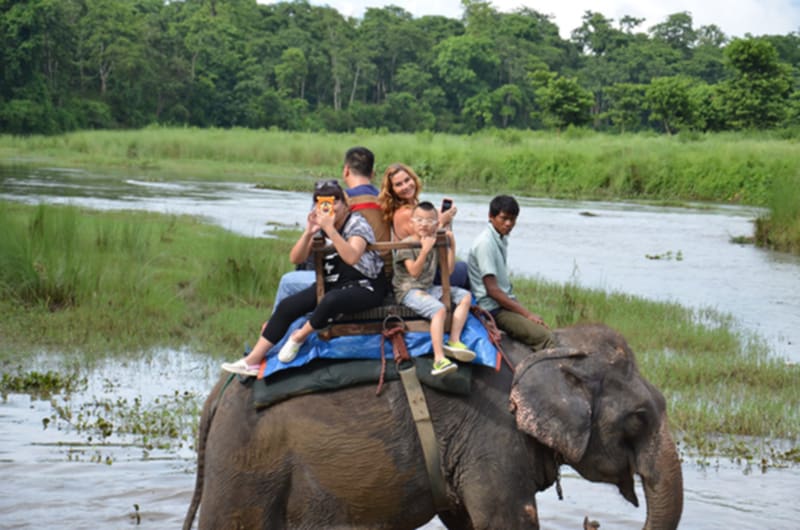 Elephant Ride